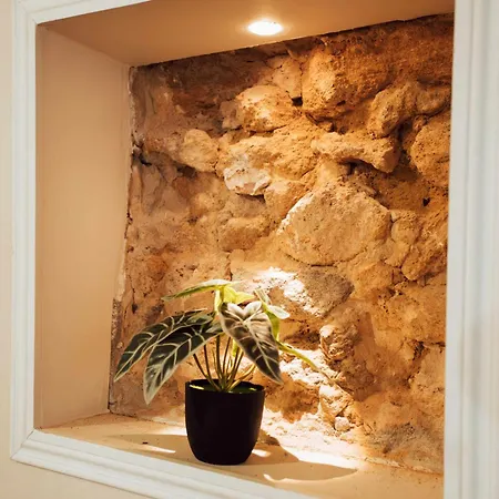 Apartman Ancien Cloitre Renove - Hyper Centre - T2 De 50m2