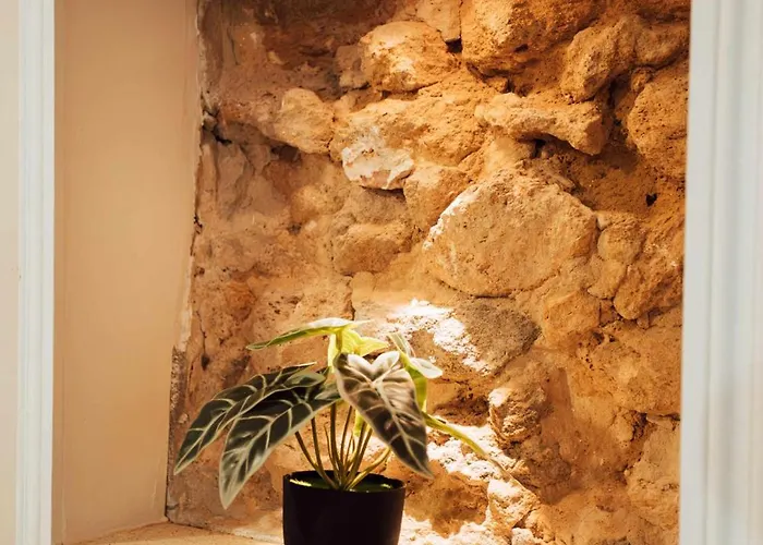 Apartmán Ancien Cloitre Renove - Hyper Centre - T2 De 50m2